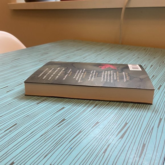 The God of Small Things by Arundhati Roy - Paperback - Picture 7 of 9